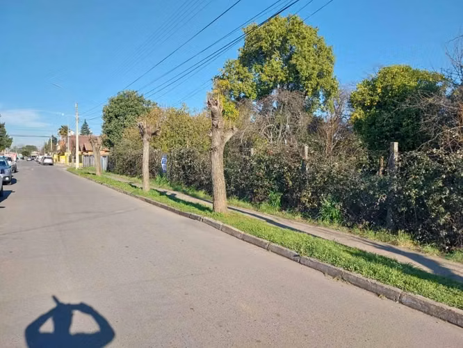 VENDO TERRENO URBANO 1300M | SECTOR BULNES - Imagen 2