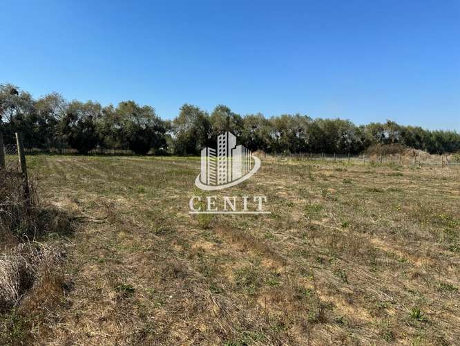 PARCELA EN VENTA TALCA, 12 MIN DE MALL PLAZA MAULE - Imagen 4