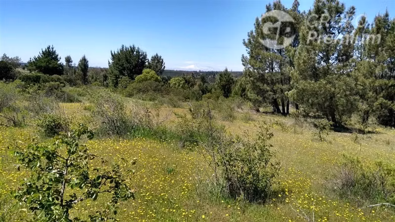 Excelente oportunidad: 6,88 ha rurales en Quillón