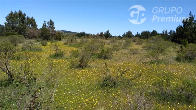Excelente oportunidad: 6,88 ha rurales en Quillón