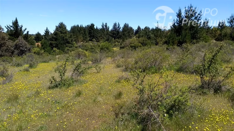 Excelente oportunidad: 6,88 ha rurales en Quillón