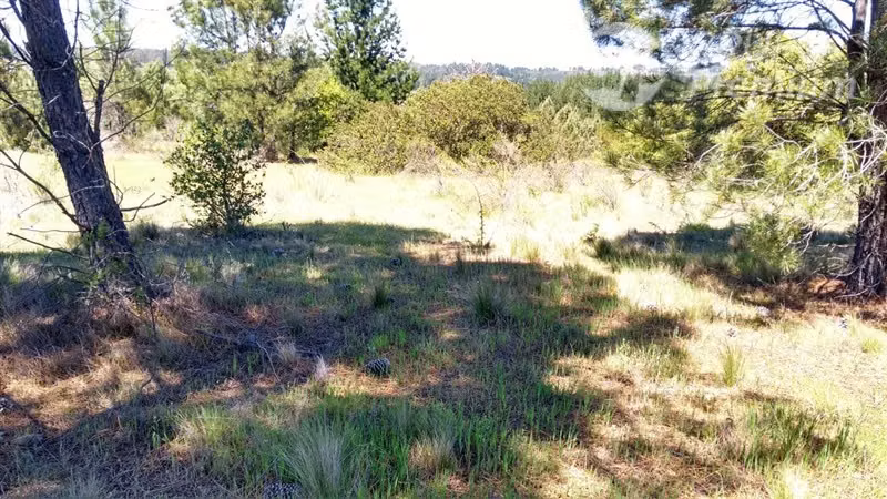 Excelente oportunidad: 6,88 ha rurales en Quillón