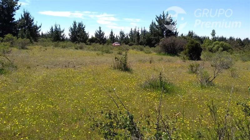 Excelente oportunidad: 6,88 ha rurales en Quillón