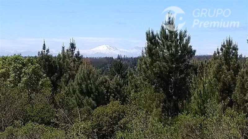 Excelente oportunidad: 6,88 ha rurales en Quillón