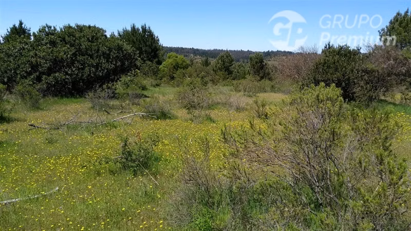 Excelente oportunidad: 6,88 ha rurales en Quillón