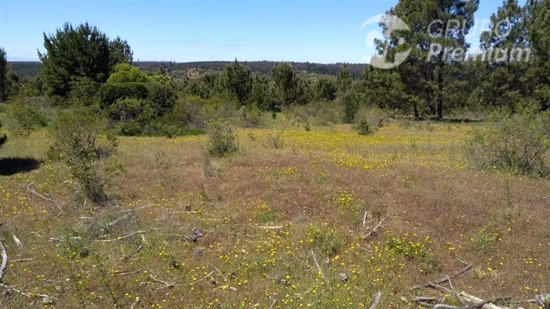 Excelente oportunidad: 6,88 ha rurales en Quillón