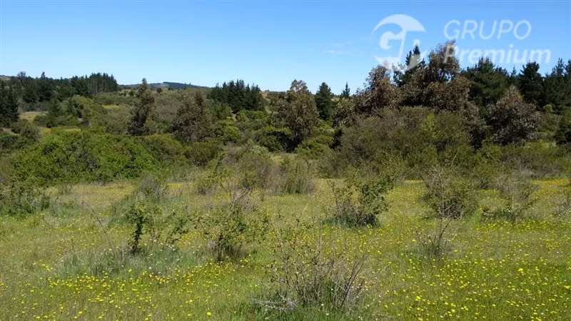 Excelente oportunidad: 6,88 ha rurales en Quillón