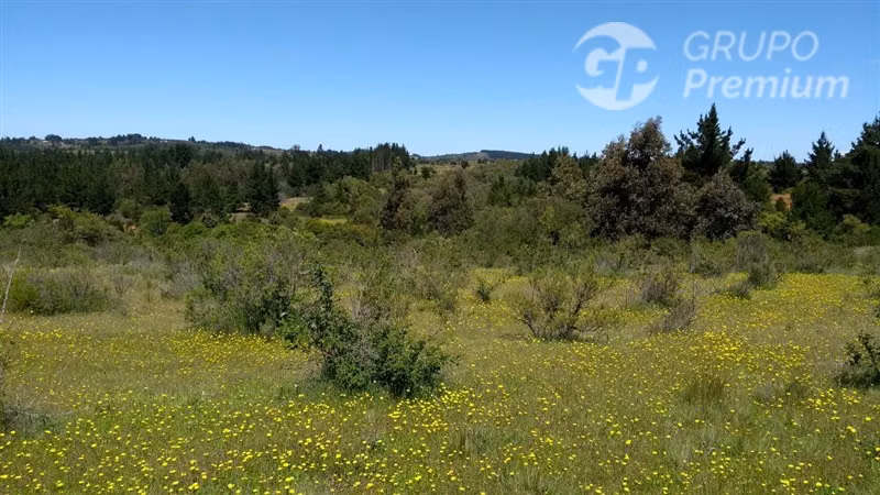 Excelente oportunidad: 6,88 ha rurales en Quillón