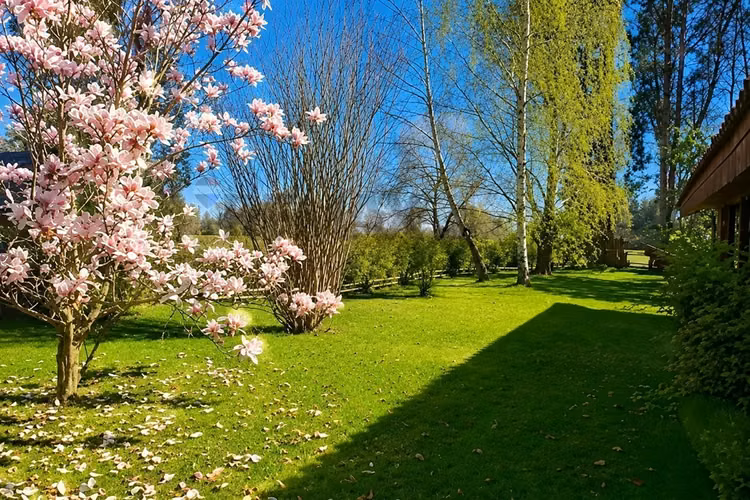 Casa de campo en linares: oasis de tranquilidad