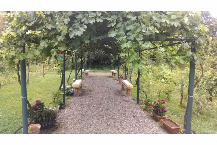 Casa de campo en linares: oasis de tranquilidad