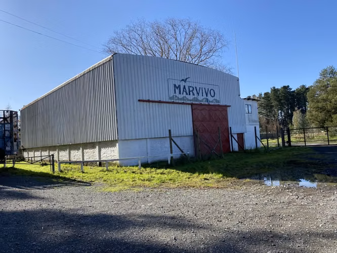 ARRIENDO BODEGA CAM STA BARBARA KM 3,6 PERFIL COMERCIAL