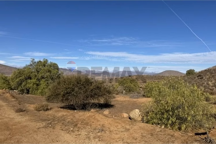Terreno 4,60 ha ruta d 43 - Imagen 2