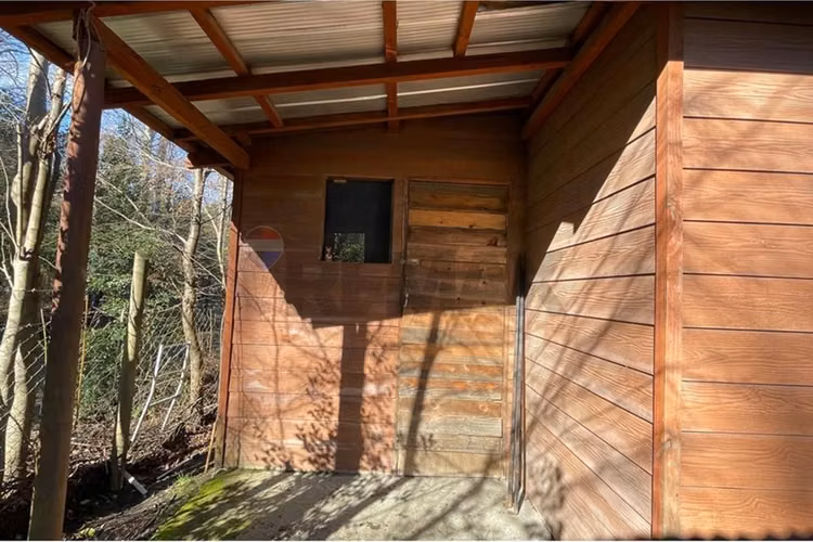 Arriendo casa + cabaña  en pucon