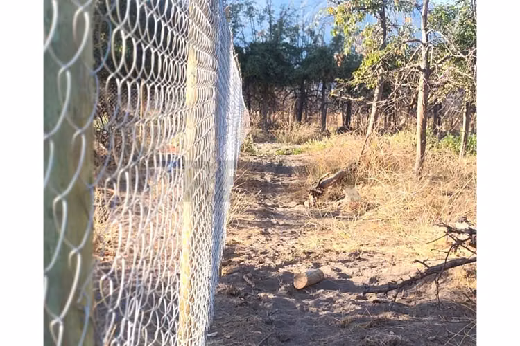 Terreno de 4700 m2 en olivar bajo