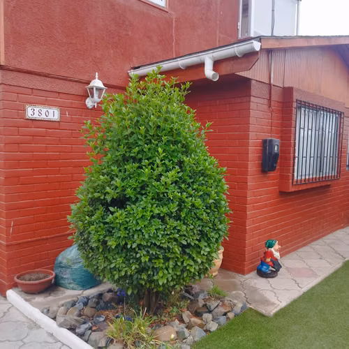 CASA  PARA DISFRUTAR EN FAMILIA, SECTOR  PEÑUELAS