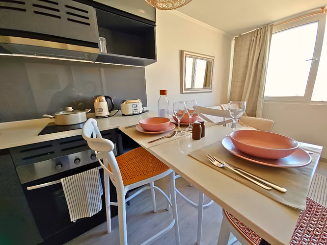 ARRIENDO AMOBLADO DEPTO 1 DORMITORIO 1 BAÑO