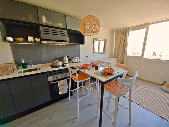 ARRIENDO AMOBLADO DEPTO 1 DORMITORIO 1 BAÑO