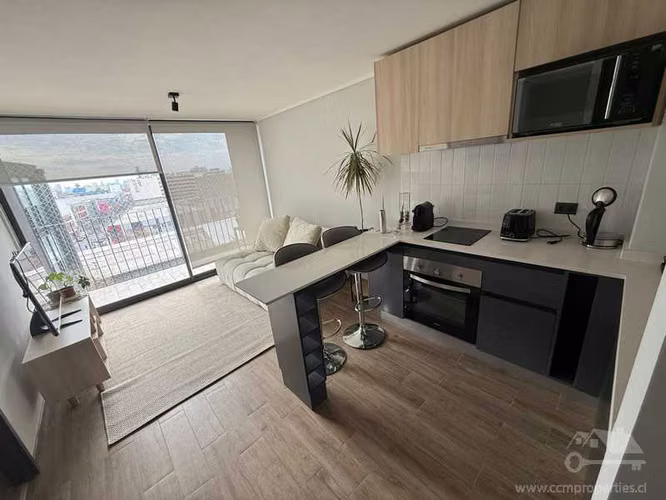 Departamento en Venta 1D1B en Santiago (179815)