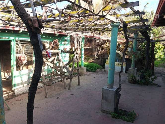 Casa de 3 dormitorios con amplio terreno y jardín interior - Imagen 2