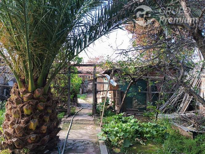 Casa de 3 dormitorios con amplio terreno y jardín interior - Imagen 16