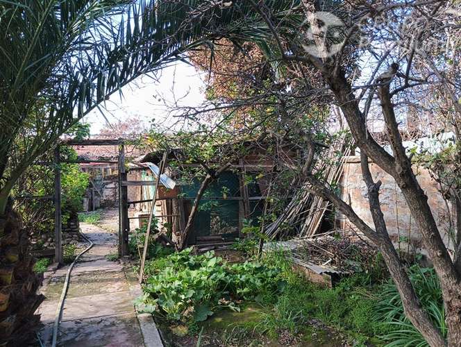 Casa de 3 dormitorios con amplio terreno y jardín interior - Imagen 15