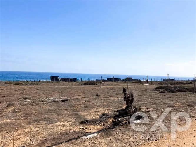 Terreno 10.000m2 Huentelauquen, naturaleza y tranquilidad