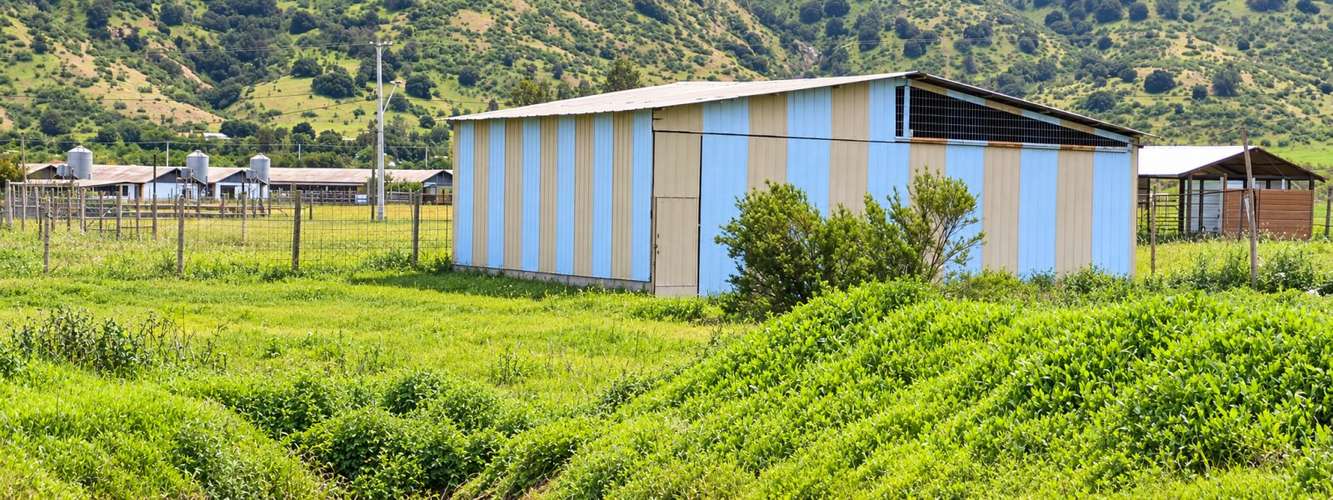 En venta, parcela de 5.000 m2., con casa de 2 dormitorios, en El Melón, Nogales.  100 M$