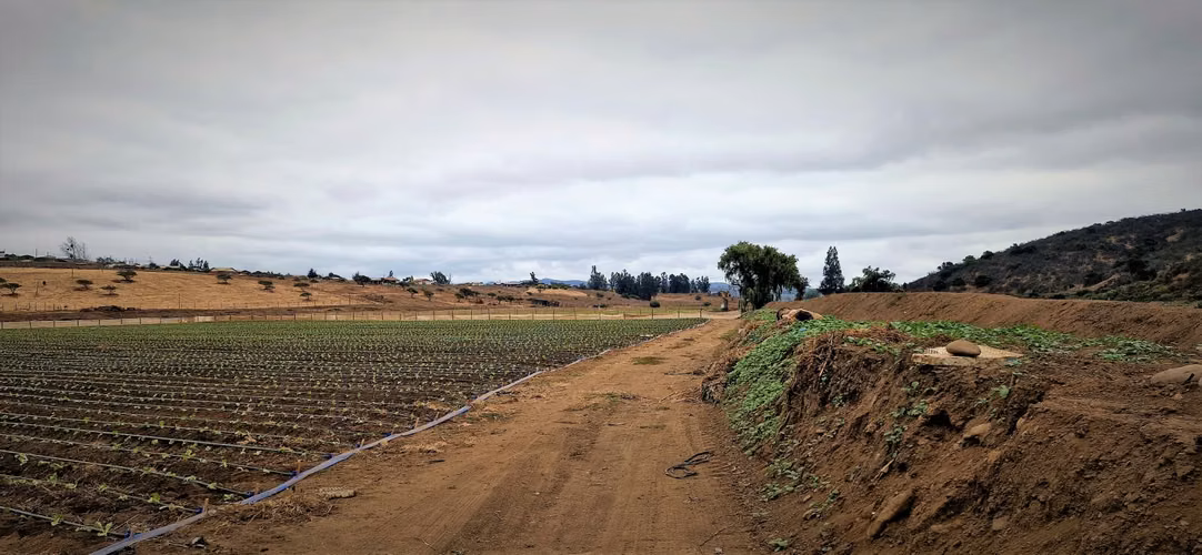 En venta parcela de 18.000 m2., en El Huape, Manzanar, Quillota – 170 M$.