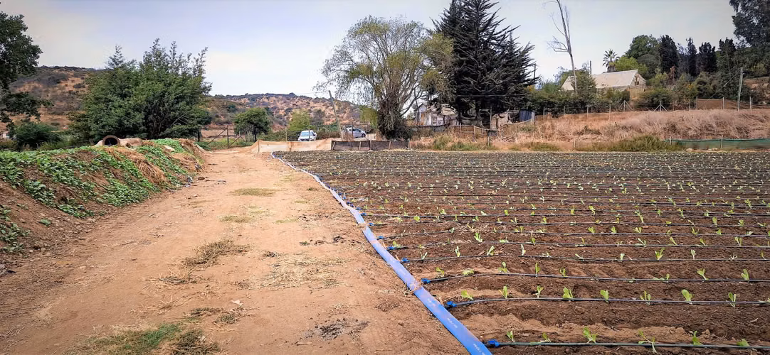 En venta parcela de 18.000 m2., en El Huape, Manzanar, Quillota – 170 M$.