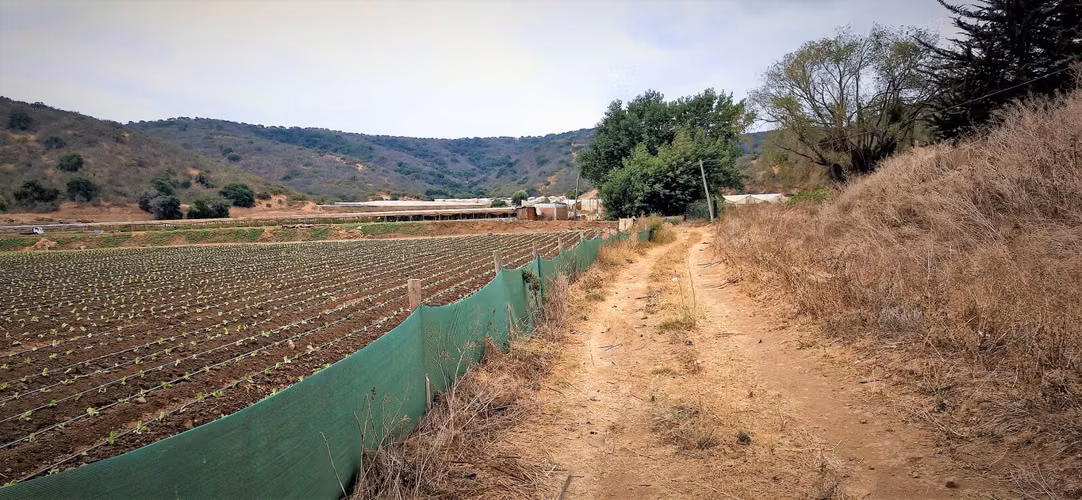 En venta parcela de 18.000 m2., en El Huape, Manzanar, Quillota – 170 M$.