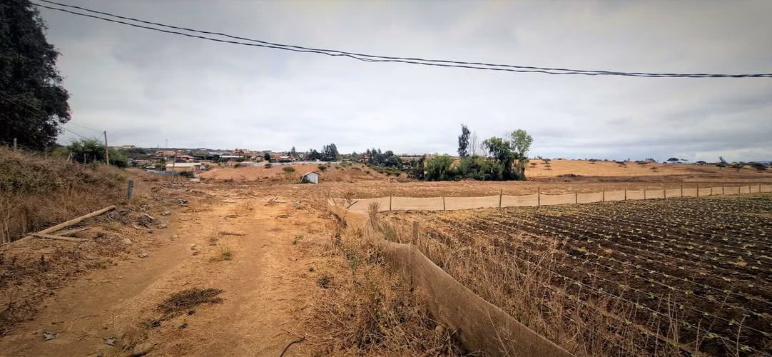 En venta parcela de 18.000 m2., en El Huape, Manzanar, Quillota – 170 M$.