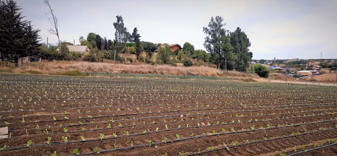En venta parcela de 18.000 m2., en El Huape, Manzanar, Quillota – 170 M$.