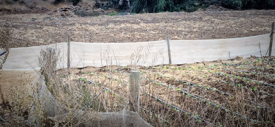 En venta parcela de 18.000 m2., en El Huape, Manzanar, Quillota – 170 M$.