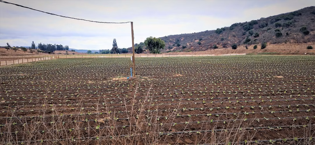 En venta parcela de 18.000 m2., en El Huape, Manzanar, Quillota – 170 M$.