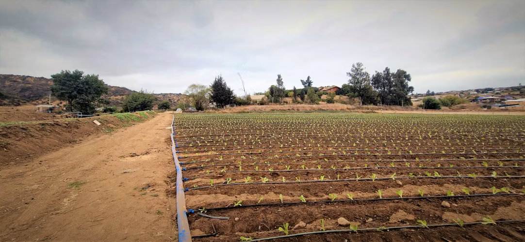 En venta parcela de 18.000 m2., en El Huape, Manzanar, Quillota – 170 M$.