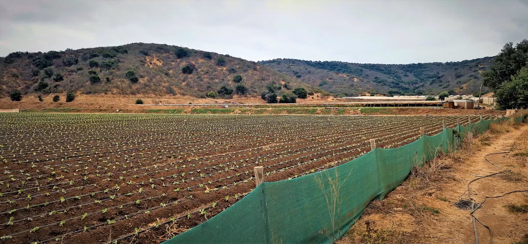 En venta parcela de 18.000 m2., en El Huape, Manzanar, Quillota – 170 M$.