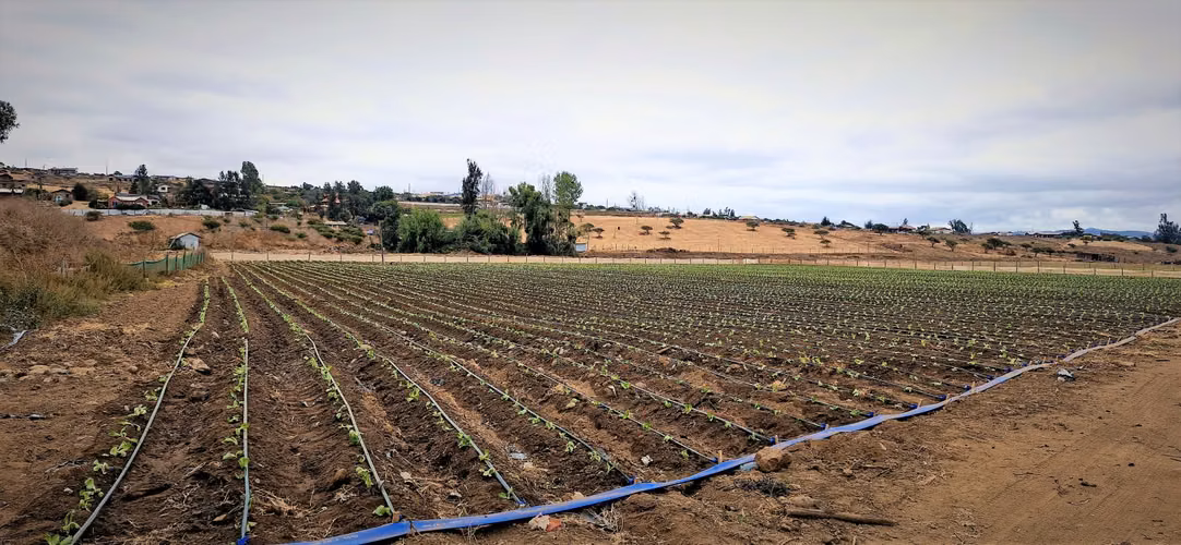 En venta parcela de 18.000 m2., en El Huape, Manzanar, Quillota – 170 M$.