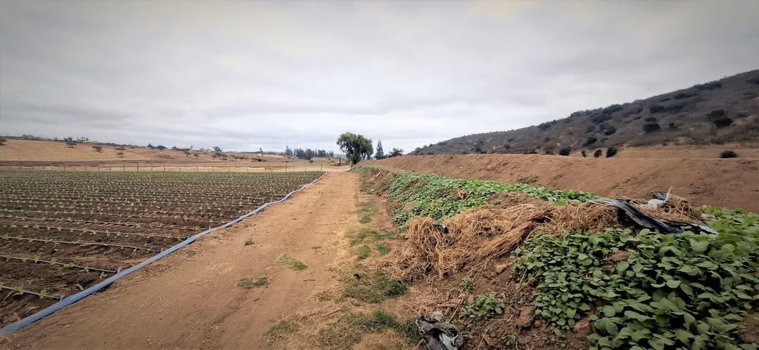 En venta parcela de 18.000 m2., en El Huape, Manzanar, Quillota – 170 M$.