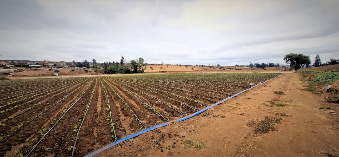 En venta parcela de 18.000 m2., en El Huape, Manzanar, Quillota – 170 M$.