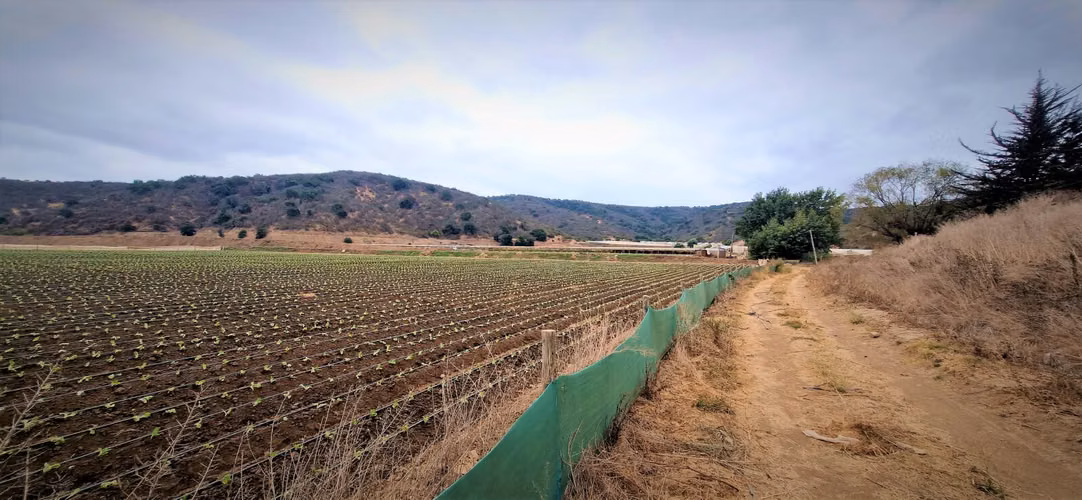 En venta parcela de 18.000 m2., en El Huape, Manzanar, Quillota – 170 M$.