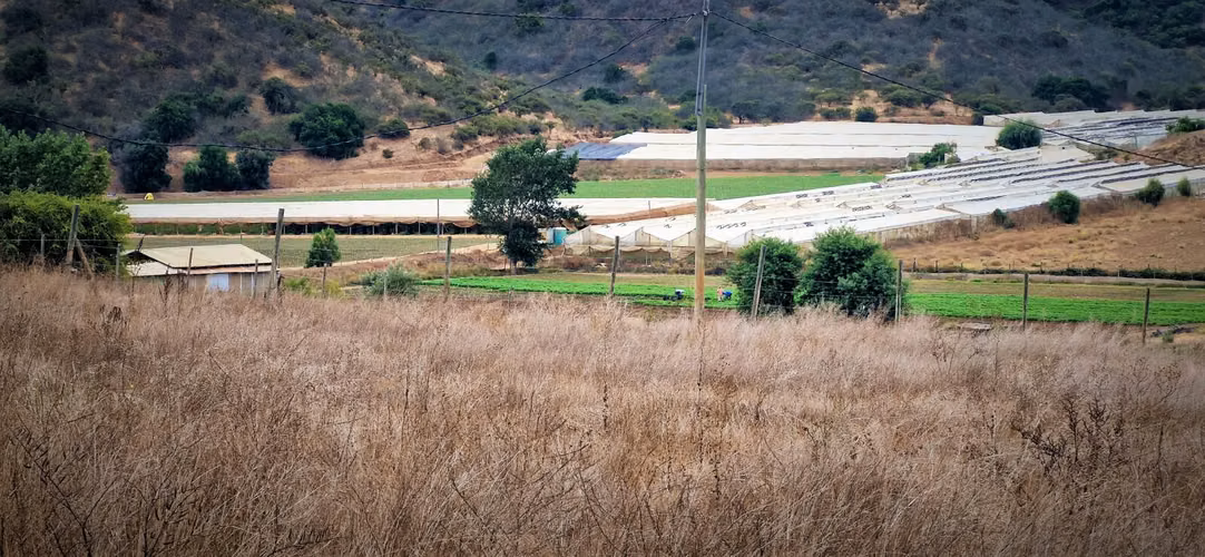 En venta parcela de 7.500 m2., en El Huape, Manzanar, Quillota. 100 M$.