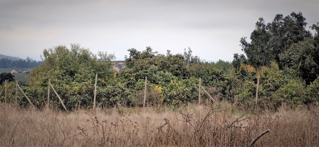 En venta parcela de 7.500 m2., en El Huape, Manzanar, Quillota. 100 M$.