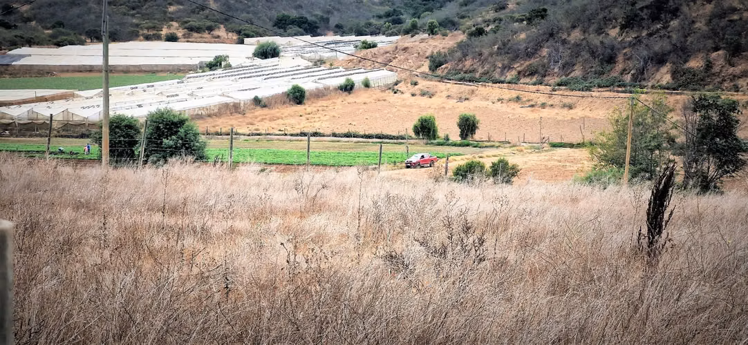 En venta parcela de 7.500 m2., en El Huape, Manzanar, Quillota. 100 M$.