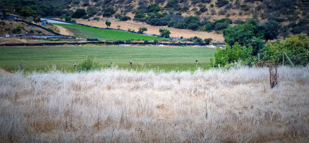 En venta parcela de 7.500 m2., en El Huape, Manzanar, Quillota. 100 M$.