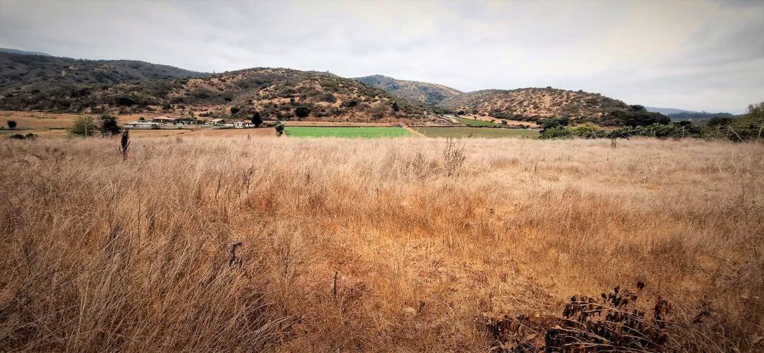 En venta parcela de 7.500 m2., en El Huape, Manzanar, Quillota. 100 M$.