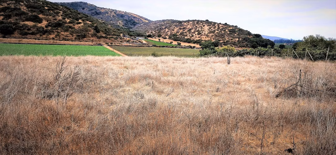 En venta parcela de 7.500 m2., en El Huape, Manzanar, Quillota. 100 M$.