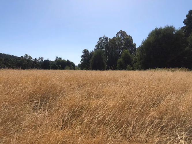 Venta terrenos con orilla de rio - Imagen 9