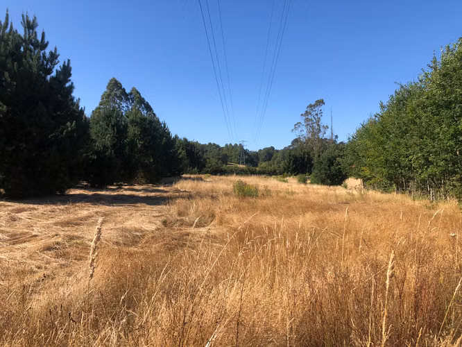 Venta terrenos con orilla de rio - Imagen 4