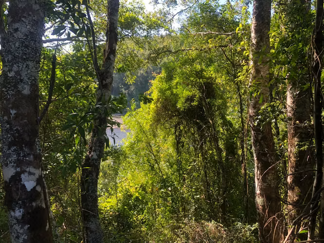 Venta terrenos con orilla de rio - Imagen 16