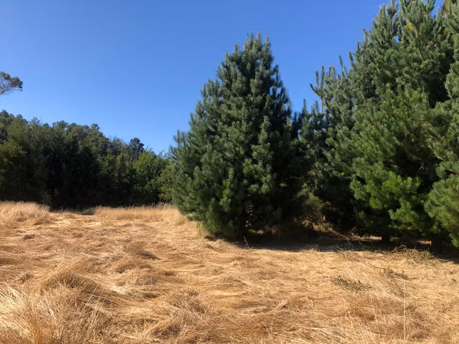 Venta terrenos con orilla de rio - Imagen 8